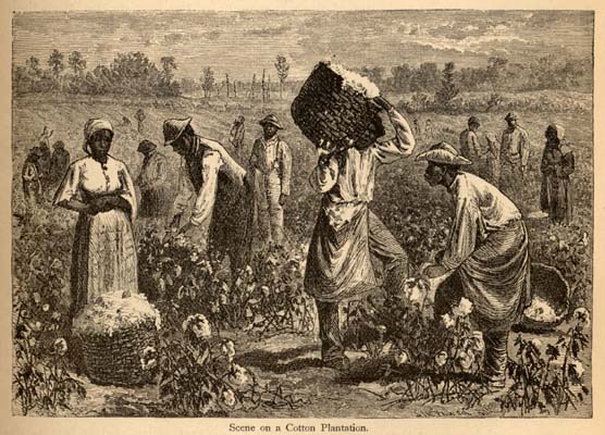 Plantation Life The West African Slave Trade The Black Holocaust